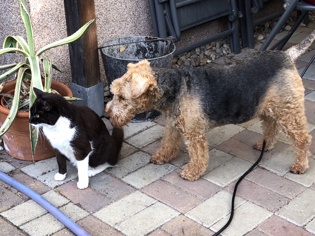 Nettel und Sunny Nettel und Sunny