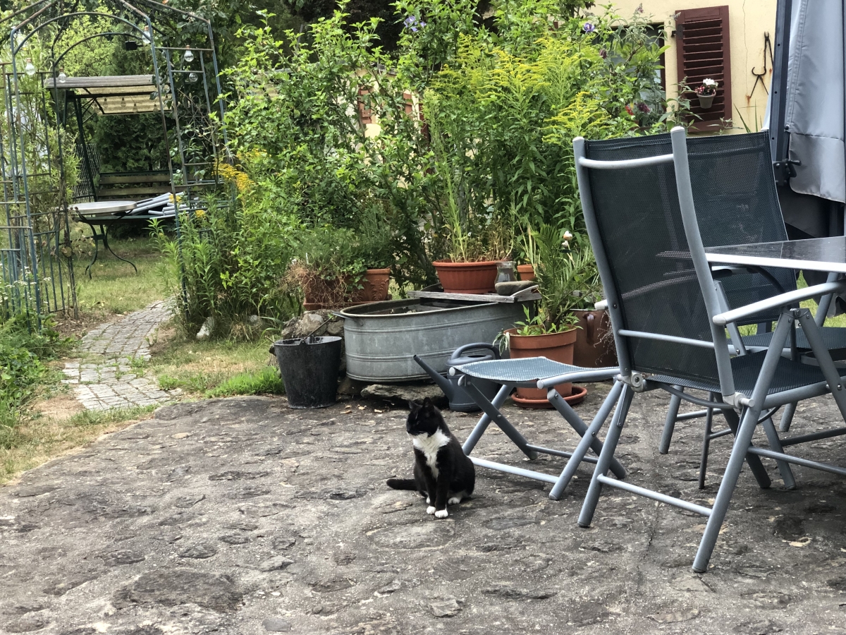 Das Morli Das Morli