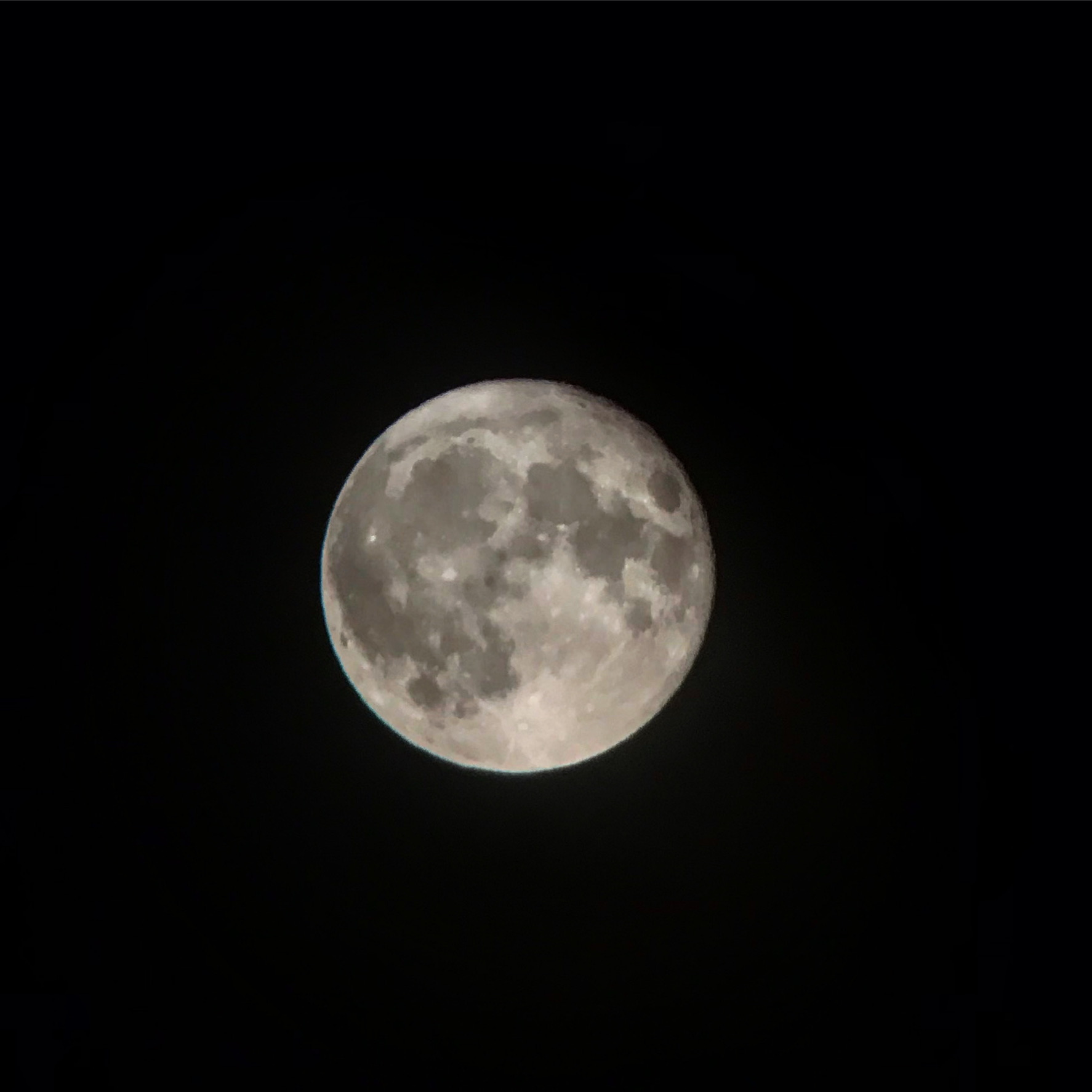 Luna am Handy Luna am Handy