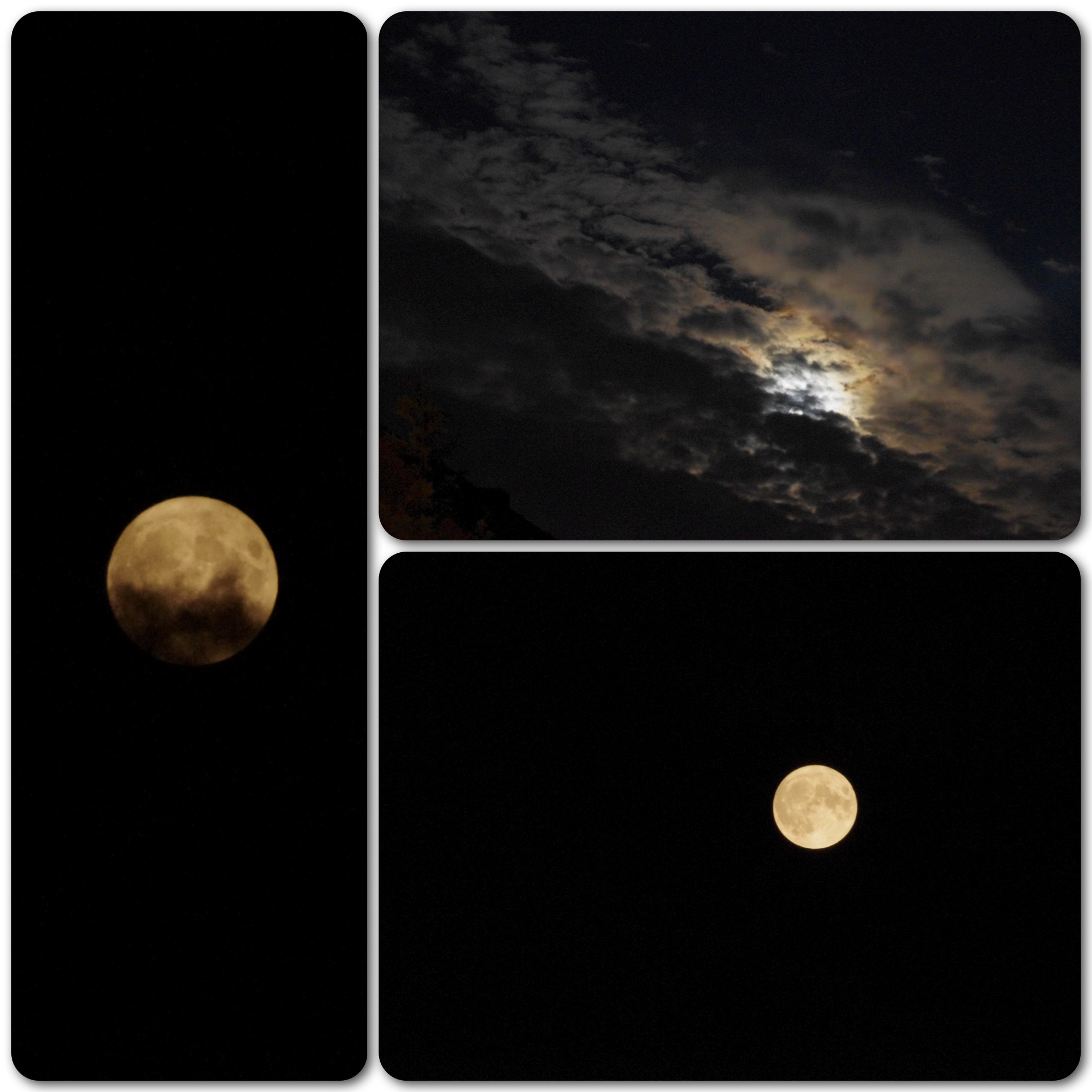 Frau Luna Frau Luna