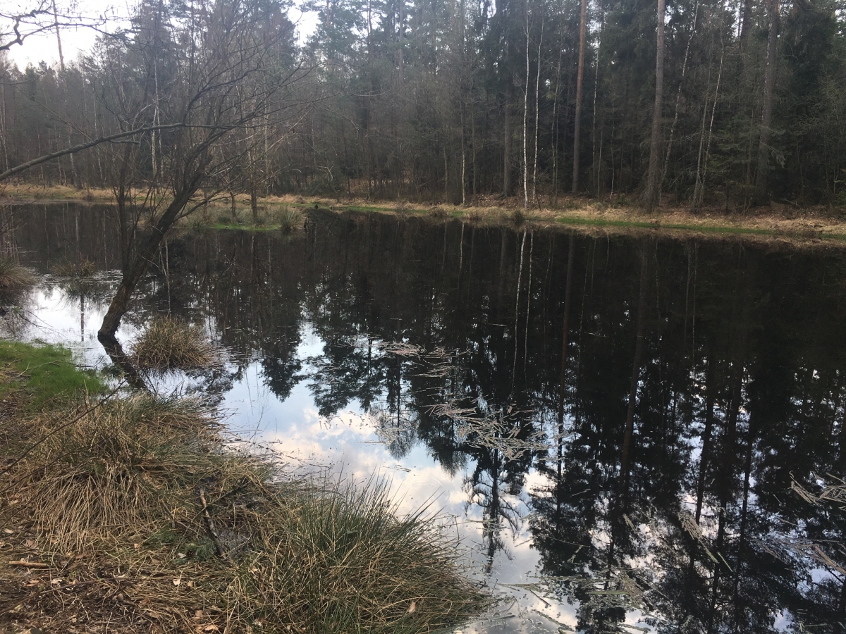 Kleiner See Kleiner See