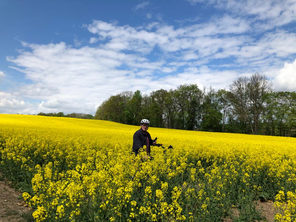 Peter im Rapsfeld Peter im Rapsfeld