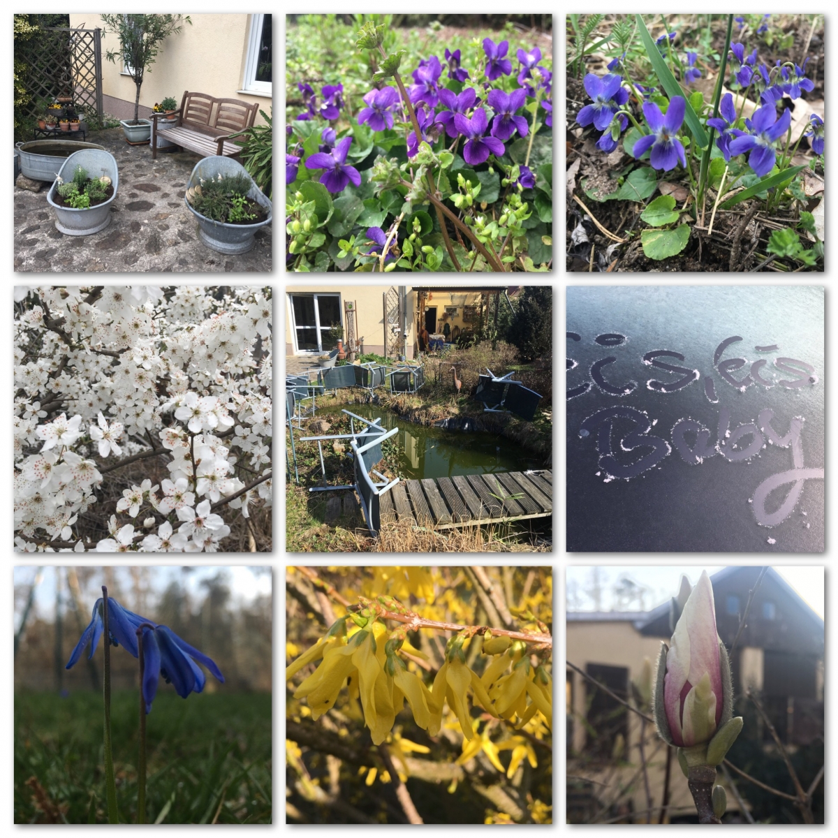 Frühling Frühling