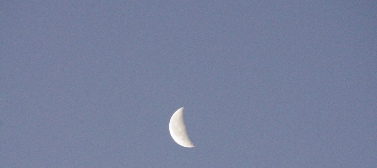 Zum Mond Zum Mond