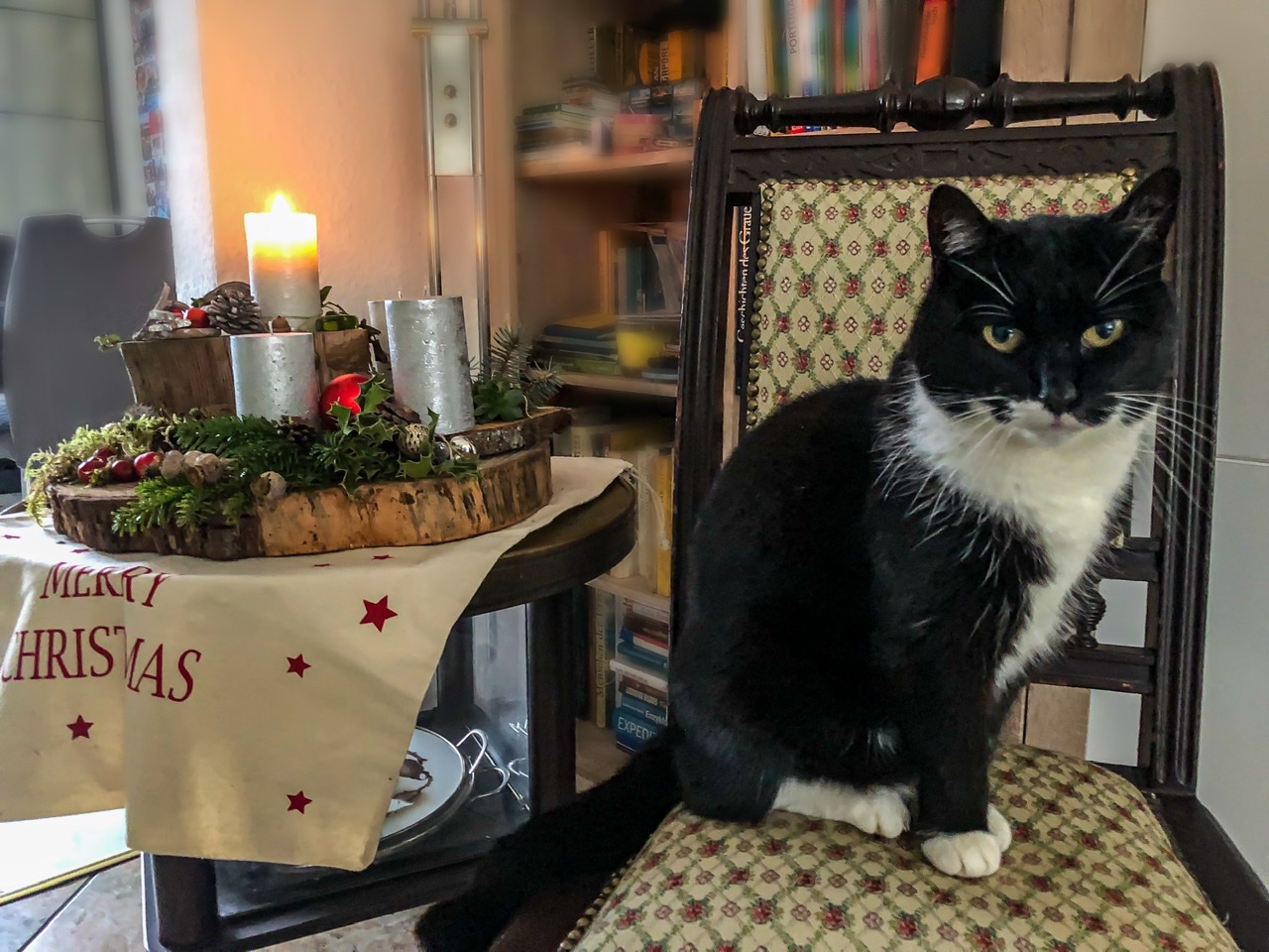 1. Advent 1. Advent