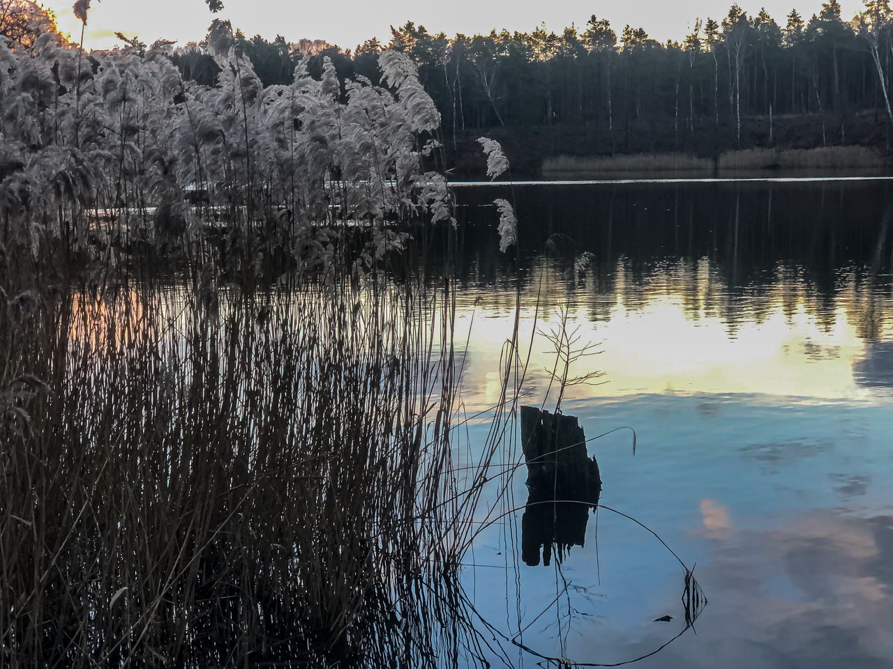 Freundschaftssee Freundschaftssee