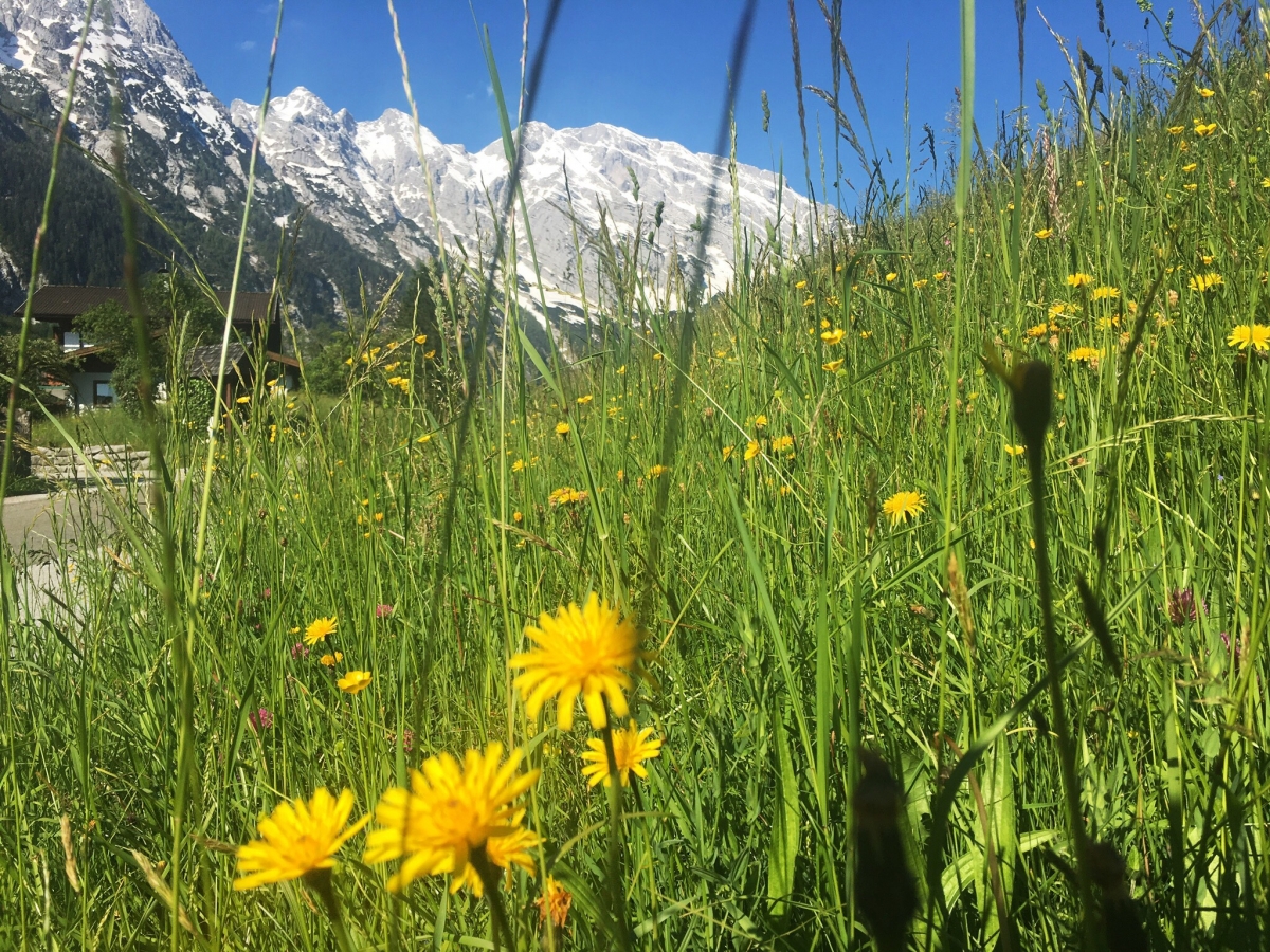 Berchtesgadener Land 