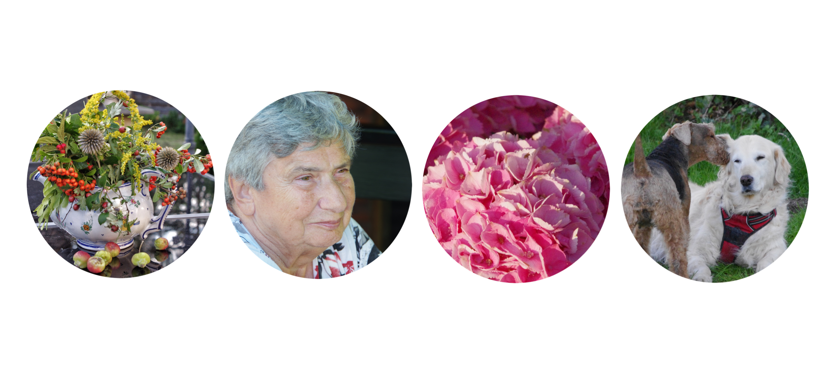 Blumengrüße Blühtmengrüße