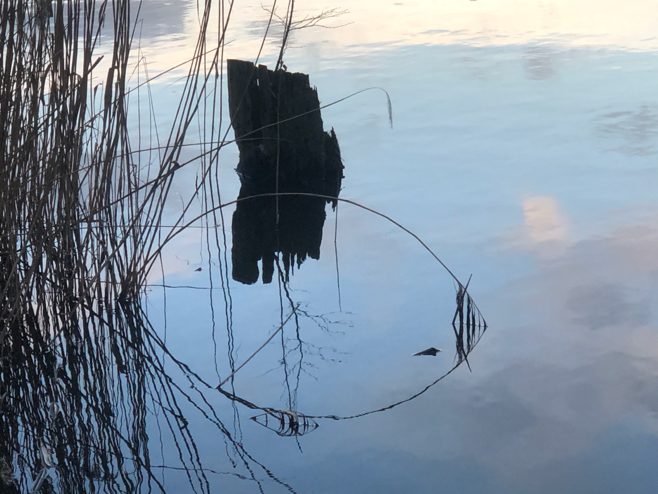Am Freundschaftssee Am Freundschaftssee