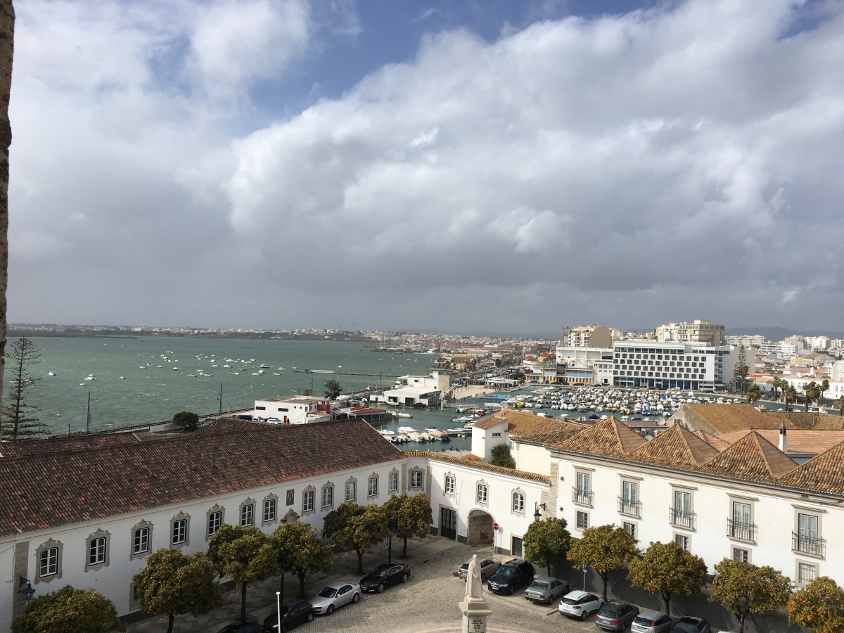 Ausblick Ausblick