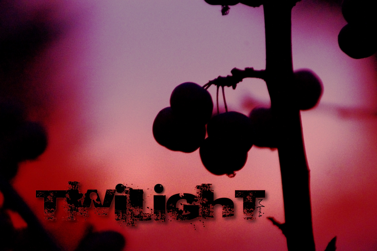 twilight twilight