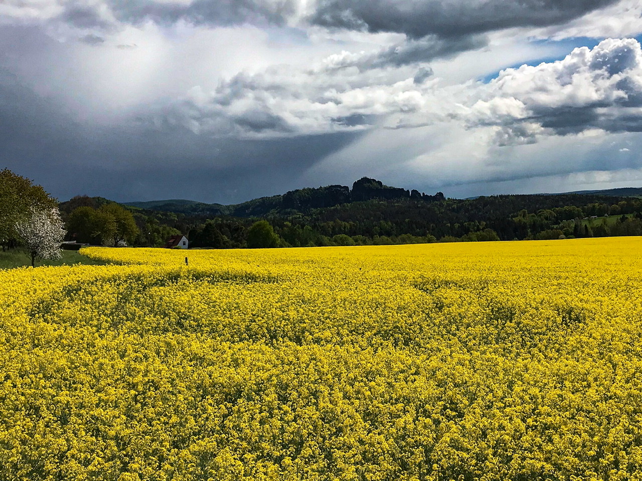 Falkenstein Falkenstein