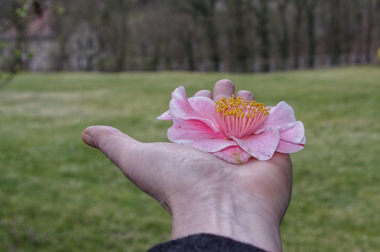 Auf der Hand Auf der Hand
