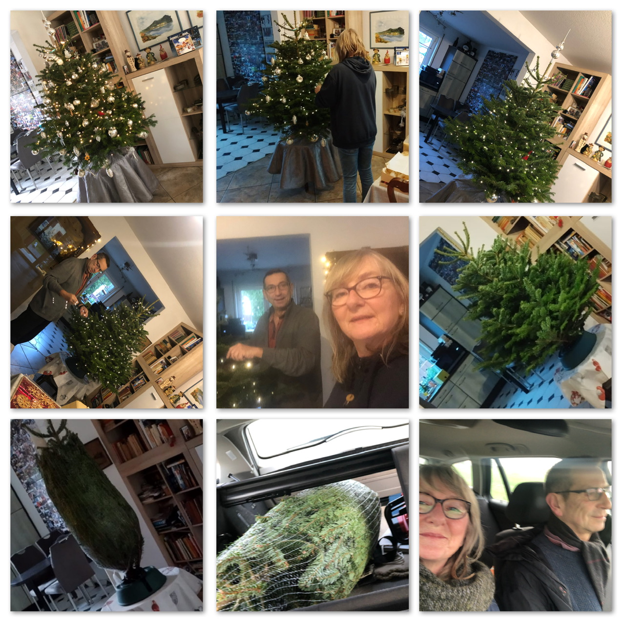 Weihnachtsbaum 2023 Weihnachtsbaum 2023
