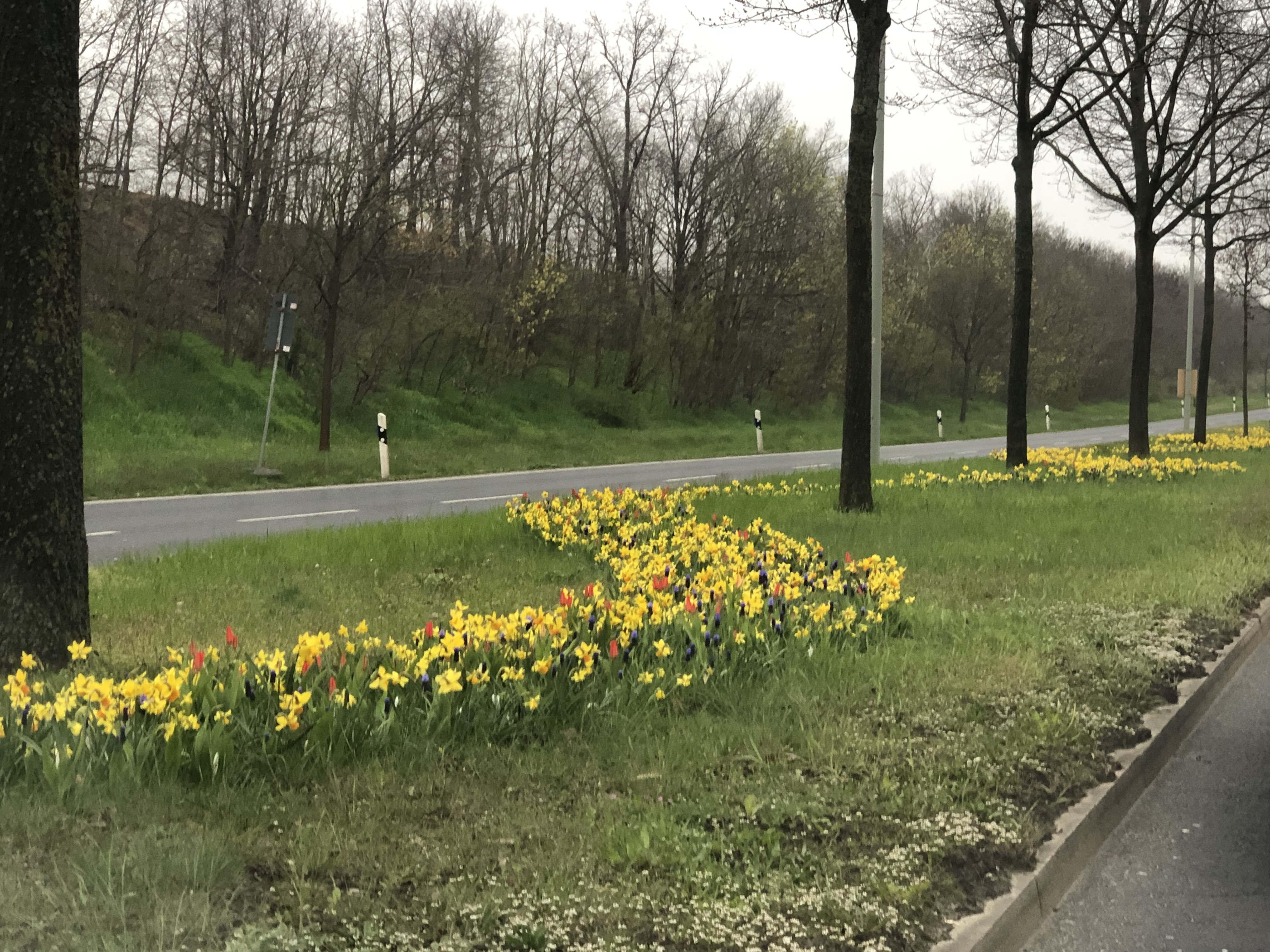 Radeburger Straße Radeburger Straße