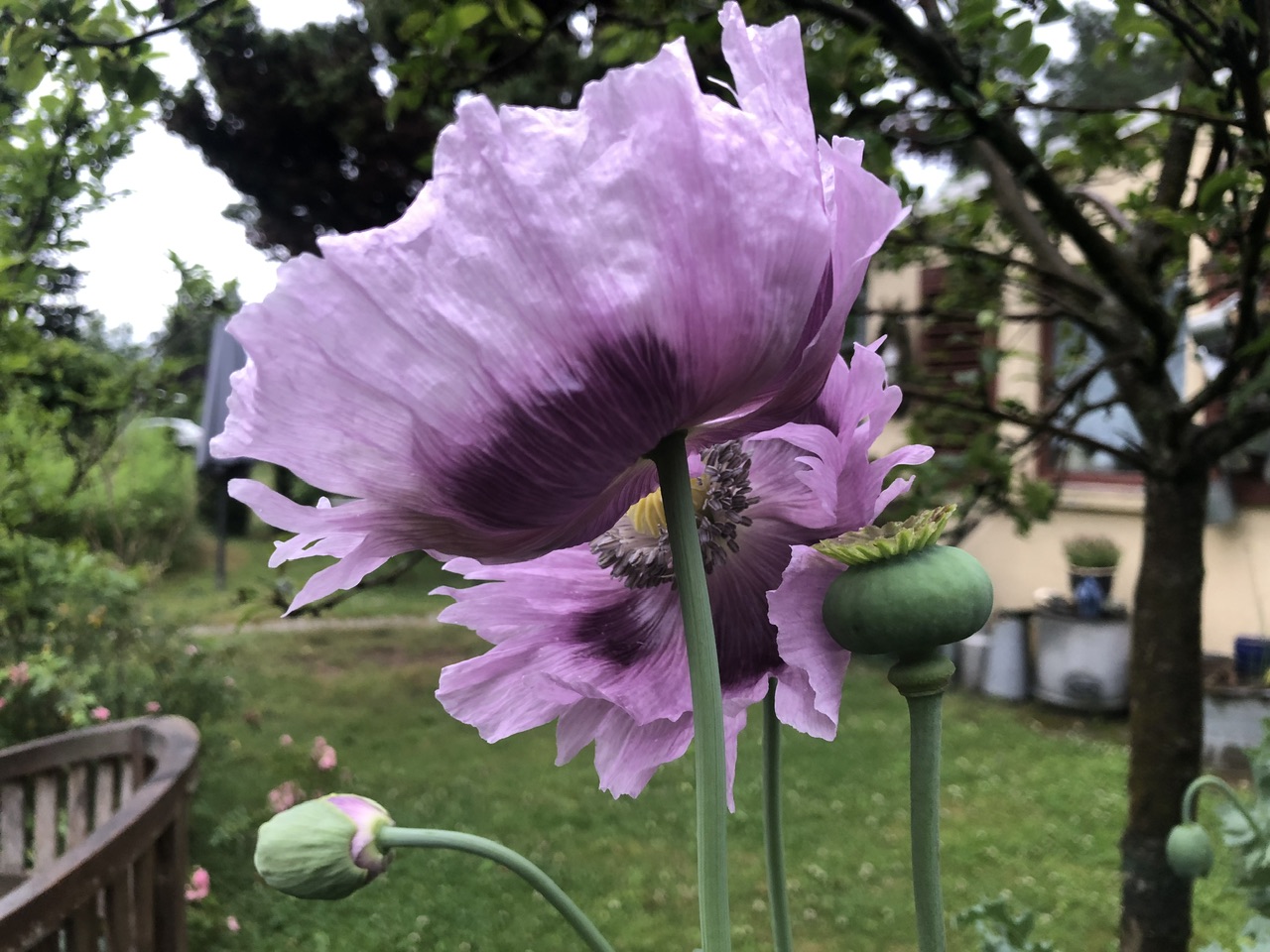 IMG_5893.jpeg