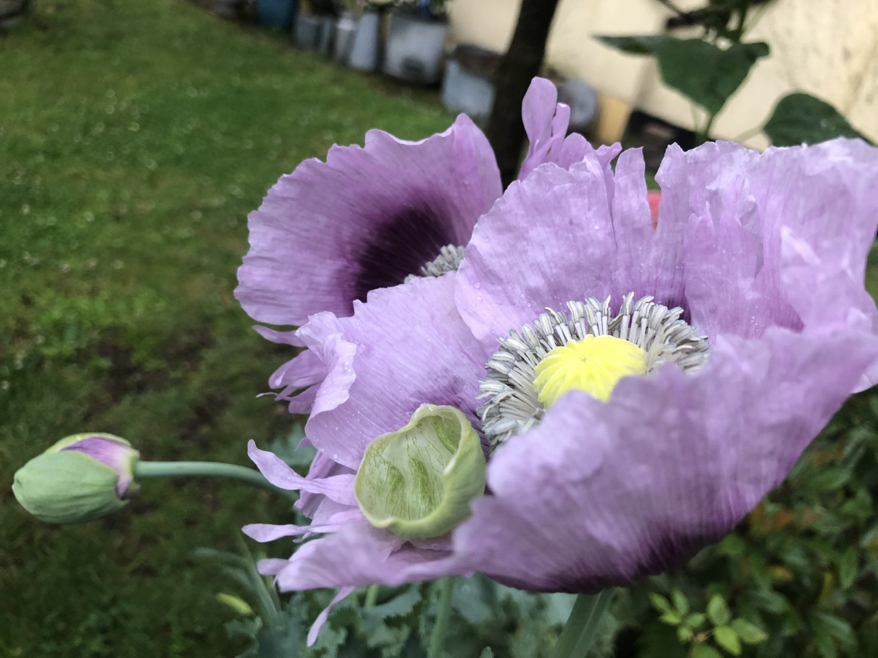 IMG_5895.jpeg