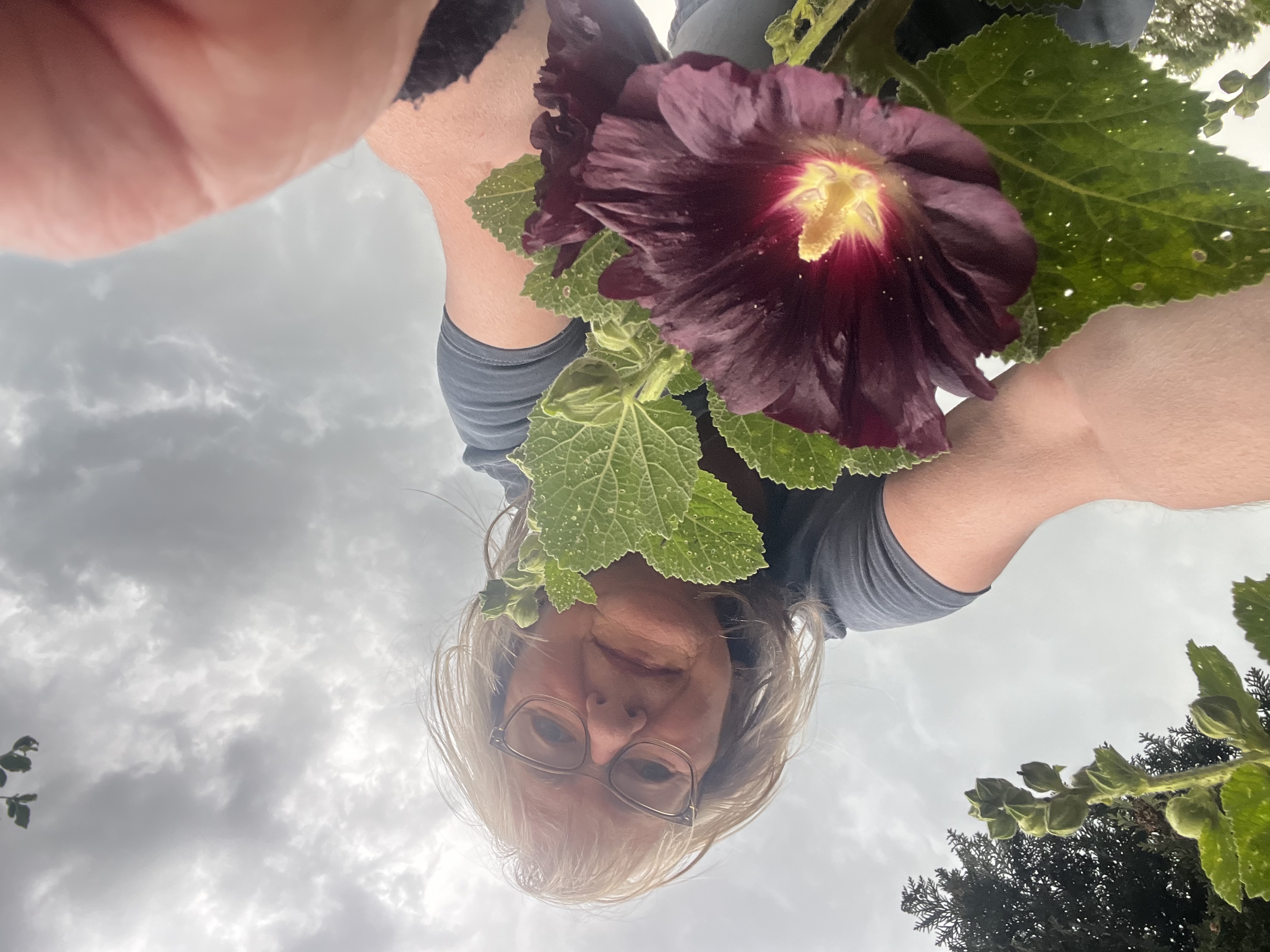 Stockrosenselfie Stockrosenselfie