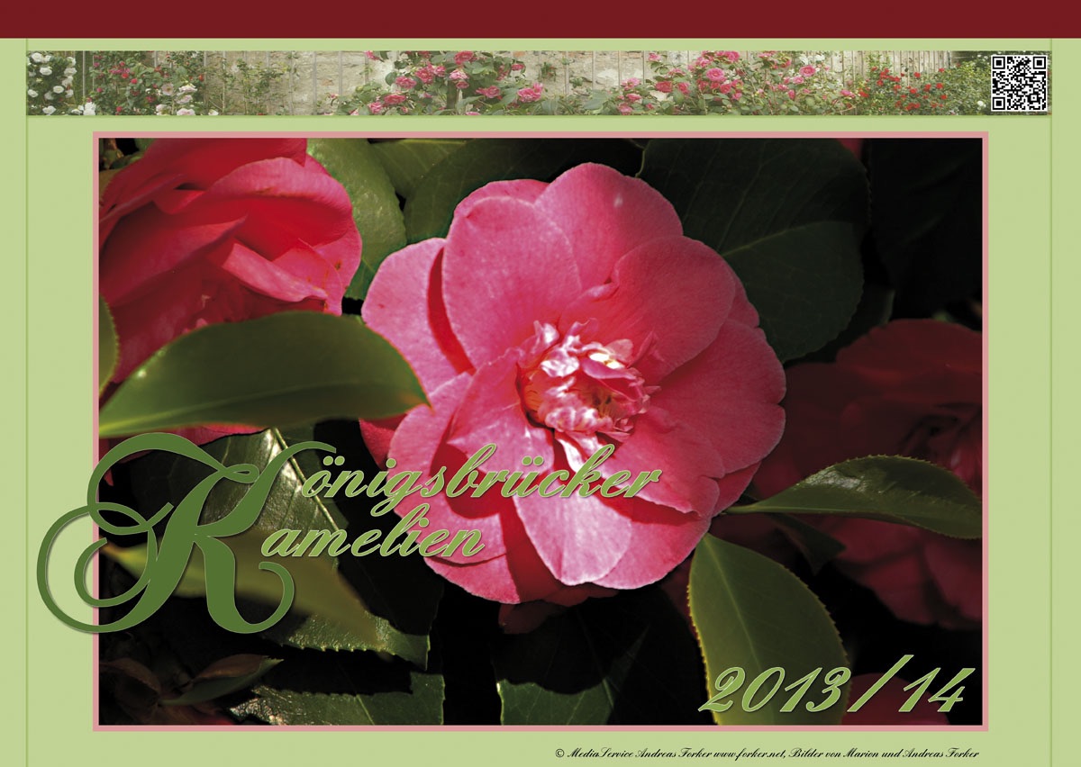 Kamelienkalender 2013/14