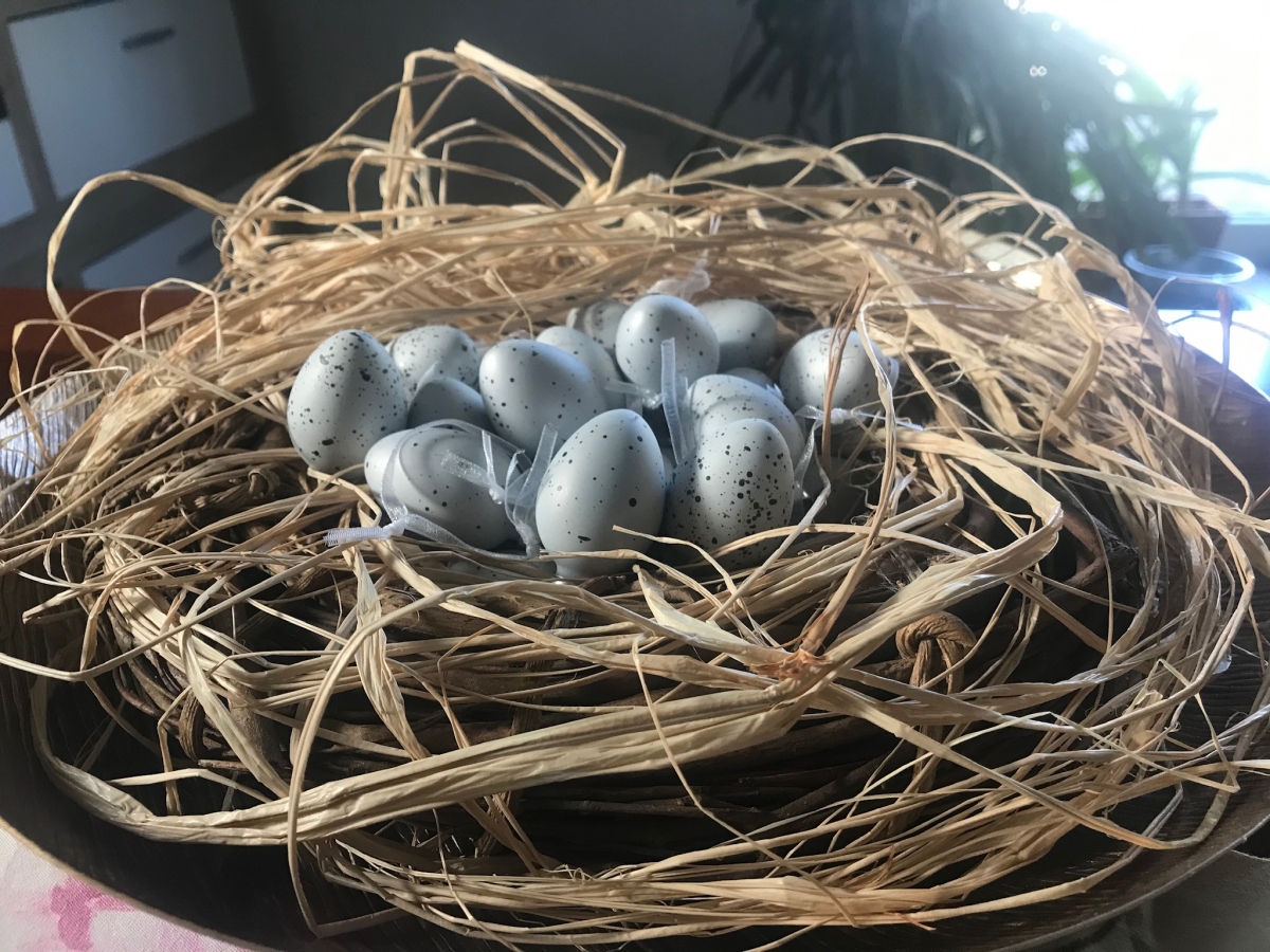 Osternest Osternest