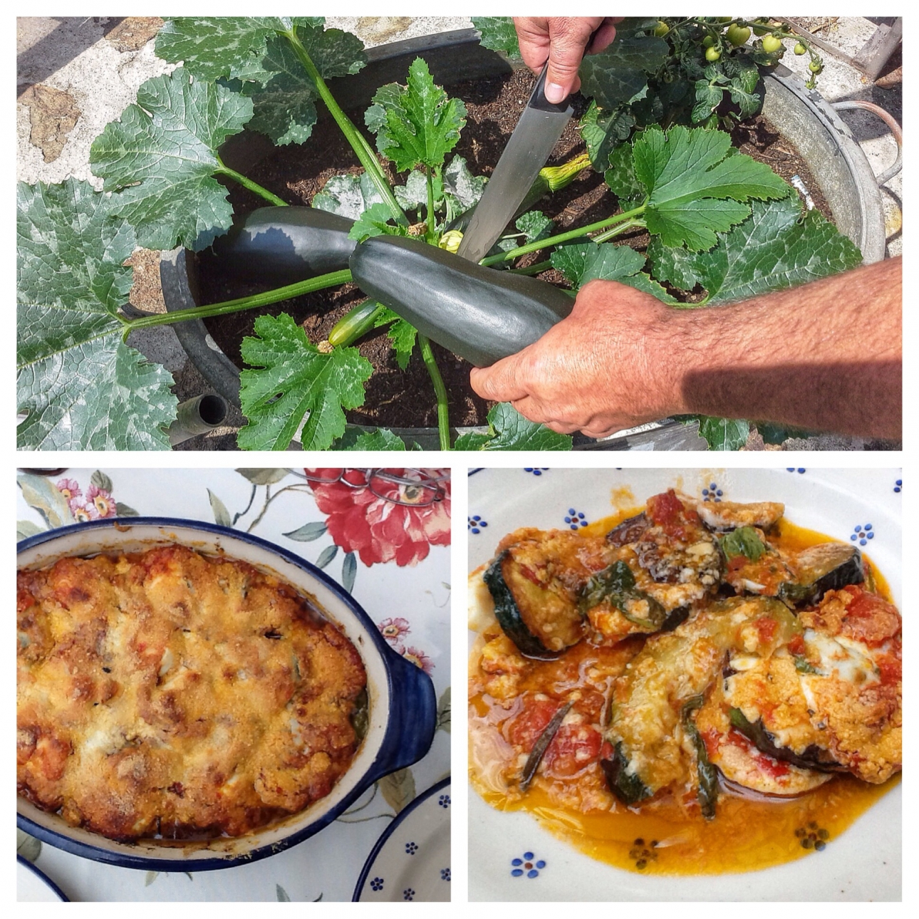 Parmigiana di Zucchini Parmigiana di Zucchini