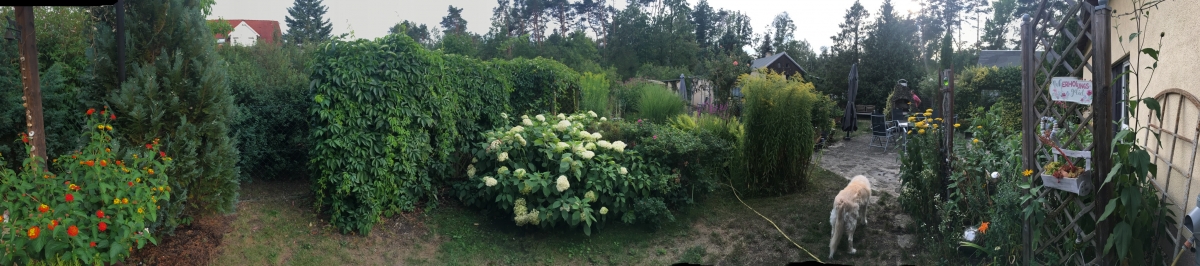 Gärtchen Gärtchen