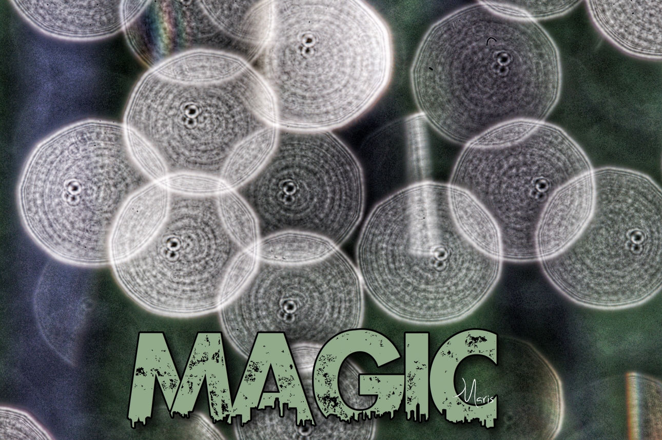 Magic Magic