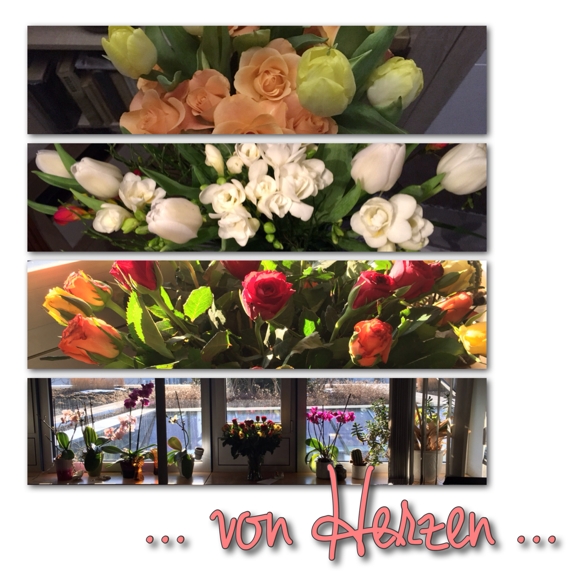 Von Herzen Von Herzen