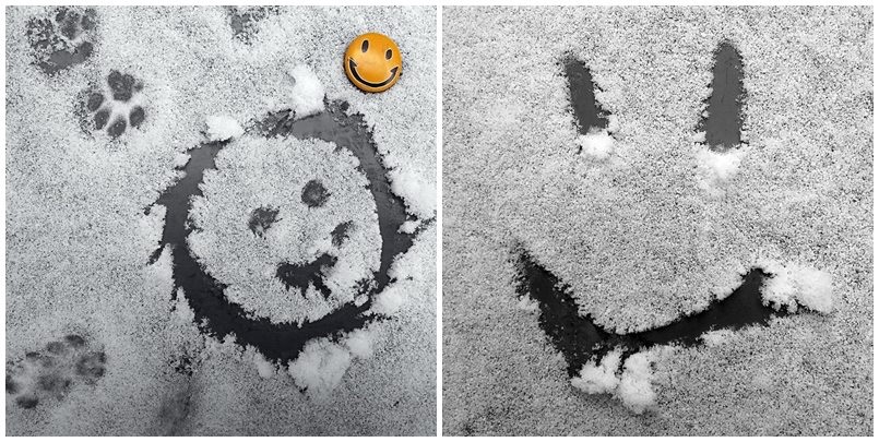Gepuderter Snowdy Gepuderter Snowdy