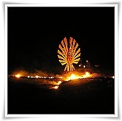 Phoenix Phoenix
