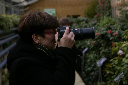 Doris bei den Königsbrücker Kamelien