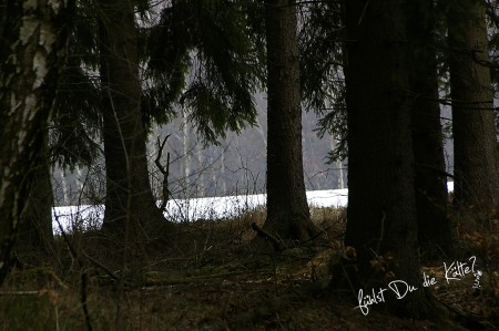 eiskalter Blick