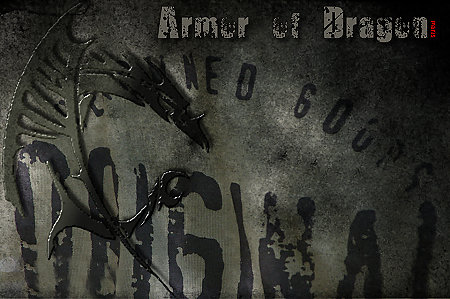Armor of Dragon 