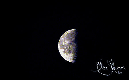 Blue Moon Blue Moon