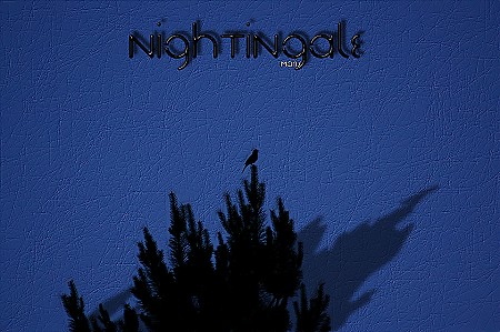 Nightingale