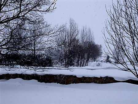 Winter 2010 in Bannewitz