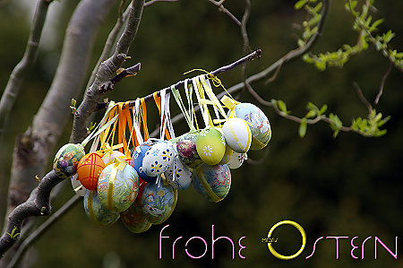 Maris Frohe Ostern