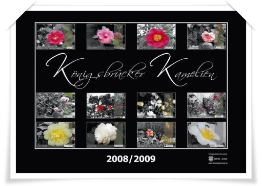 Kamelienkalender 2008/2009