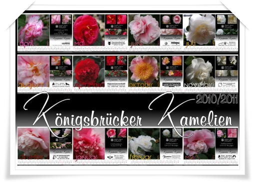 Kamelienkalender 2010/2011