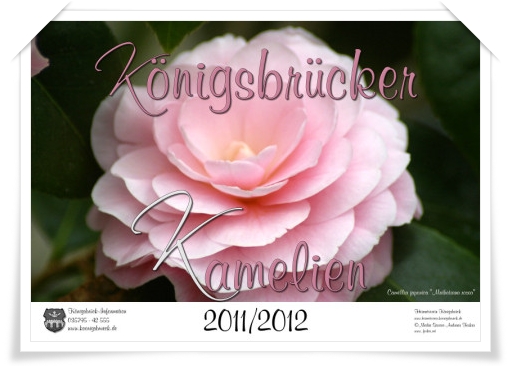 Kamelienkalender 2011/2012