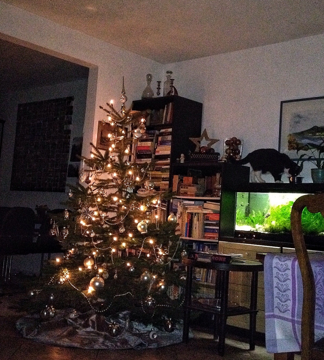 Weihnachtsbaum 2014 Weihnachtsbaum 2014